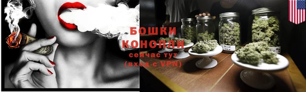твердый Бронницы