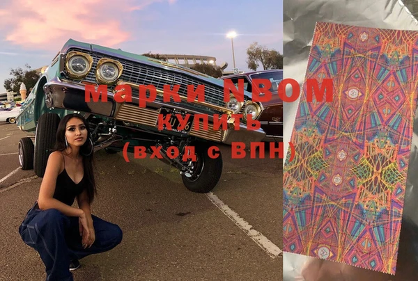 прущие грибы Бугульма