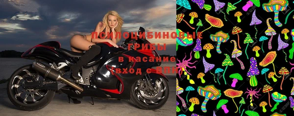 прущие грибы Бугульма