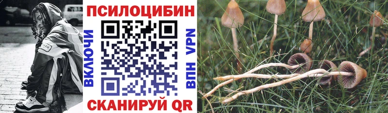 Галлюциногенные грибы прущие грибы  Новосокольники 