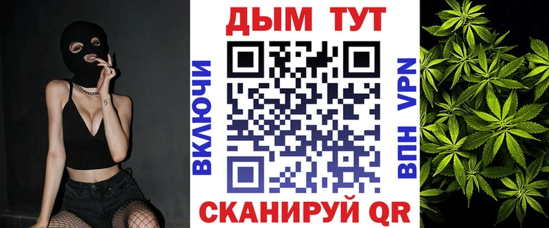 Канабис сатива  маркетплейс официальный сайт  Новосокольники 